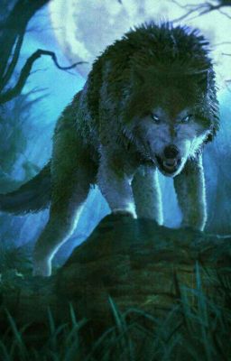 История оборотня и кошки 