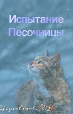 Коты-Воители: Испытание Песочницы