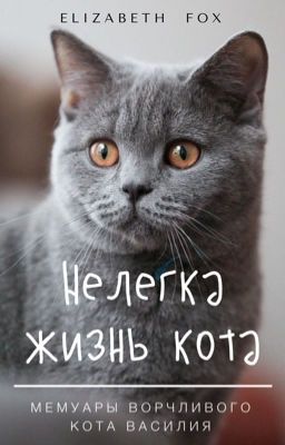 НЕЛЕГКА ЖИЗНЬ КОТА