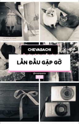 ՙՙ chevabachi  べ  lần đầu gặp gỡ ױ