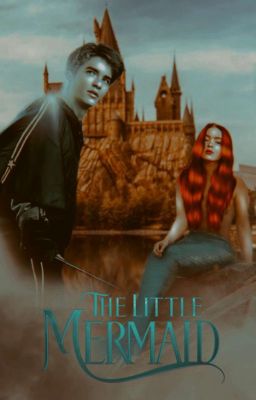 १𓈒 𓄹【The little Mermaid】⊹𓈒  (Cedric Diggory)