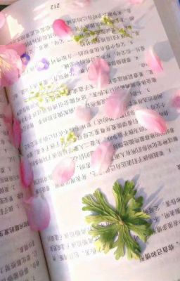♡°౨ৎ All for u 