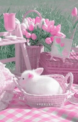 ✧。・゚゚・ ԋყ ・゚゚・ 。⋆