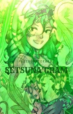 (☞◑ㅂ◑ᵔ)☞ Setsuna'Gram