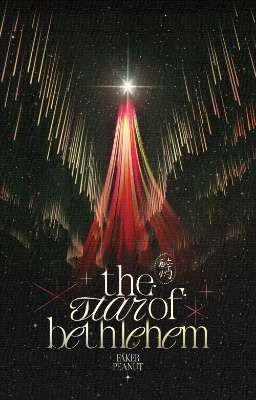 【壳花 The Star of Bethlehem - 21:00】The star of Bethlehem 