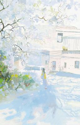 杏枝 | Mặt Trận x VNCH