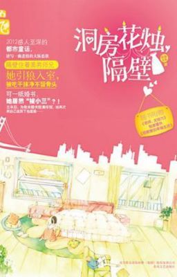 《洞房花烛 隔壁》作者：叶落无心