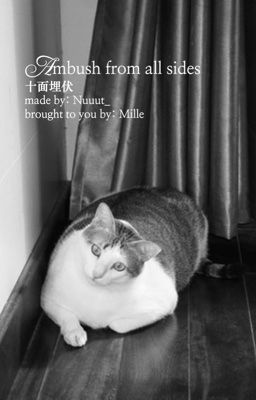 [猫花/chonut] | Thập diện mai phục