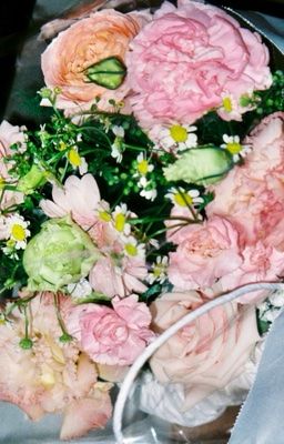 [猫花/chonut] | Vậy đó... tôi kết hôn với kẻ thù rồi