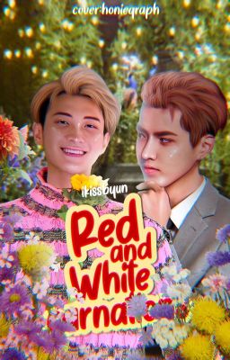 ꜥꜤ red and white carnations ⌁ ֶָ࣪ ˒ kristao 𖥔 traducción