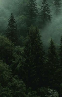 ꨄ𝓜𝔂 𝓲𝓷𝓷𝓮𝓻 𝓭𝓮𝓶𝓸𝓷𝓼ꨄ