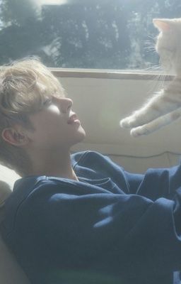 빈준binjun// bồ anh và anh cũng thích em