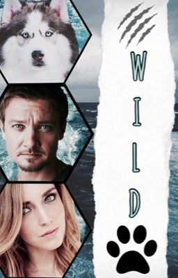 ｗｉｌｄ- ⎾ａｖｅｎｇｅｒｓ⏋