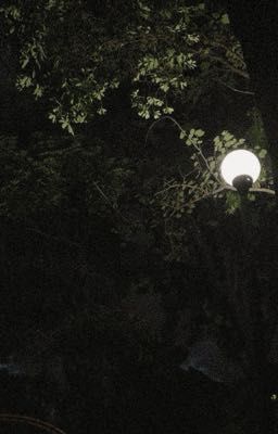 𐙚⋆.˚ Đêm ˙⋆✮|masonb|