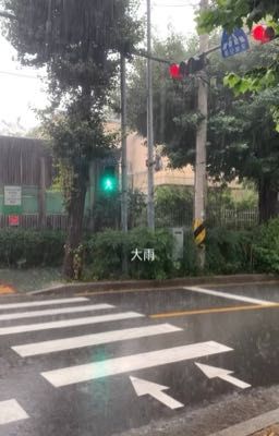 ⋆. 𐙚 ˚ miền ký ức | phúc nguyên x lâm anh