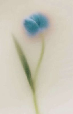 ⋆.𐙚 ̊ zeuran - làm lành chữa tình.