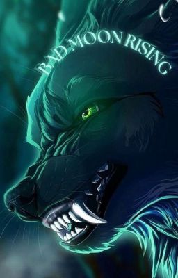 𝐁𝐀𝐃 𝐌𝐎𝐎𝐍 𝐑𝐈𝐒𝐈𝐍𝐆