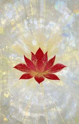 𝐂𝐇✦𝐕𝐘 & 𝐐𝐔★𝐃 ; 𝗙𝗔𝗥𝗘𝗪𝗘𝗟𝗟