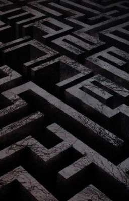 𝐂𝐇𝐎𝐒𝐄𝐍 | THE MAZE RUNNER