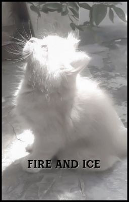 𝐅𝐈𝐑𝐄 𝐀𝐍𝐃 𝐈𝐂𝐄 | warriors