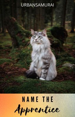 𝐍𝐚𝐦𝐞 𝐭𝐡𝐞 𝐀𝐩𝐩𝐫𝐞𝐧𝐭𝐢𝐜𝐞!