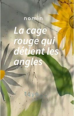 𝐍𝐨𝐦𝐢𝐧| La cage rouge qui détient les angles