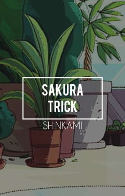 𝐒𝐀𝐊𝐔𝐑𝐀 𝐓𝐑𝐈𝐂𝐊 || ShinKami. 