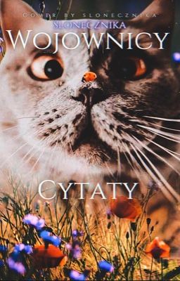 𝐖𝐎𝐉𝐎𝐖𝐍𝐈𝐂𝐘  ❝Cytaty❞