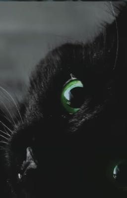 𝐗𝐚̀ 𝐓𝐚̂𝐦 𝐌𝐢𝐞̂𝐮 𝐍𝐡𝐚̃𝐧