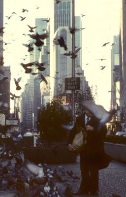 𝐚𝐥𝐥𝐡𝐢𝐧𝐚𝐭𝐚 | 𝘁𝗲𝘅𝘁𝗳𝗶𝗰; kẻ đuổi theo mặt trời.