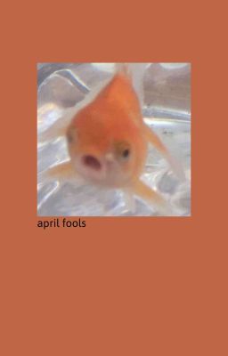 𝐚𝐩𝐫𝐢𝐥 𝐟𝐨𝐨𝐥𝐬