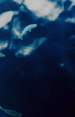 「 ✦ 𝐠𝐞𝐨𝐧𝐚𝐭 ✦ 」vô tình.