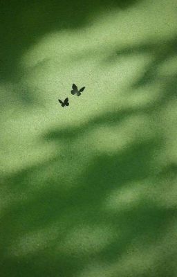 𝐦𝐚𝐫𝐡𝐲𝐞𝐨𝐧 ☆ nhật ký tán tỉnh streamer 