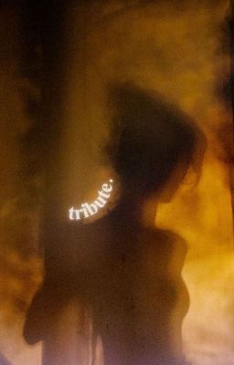 𝐭𝐡𝐞 𝐭𝐫𝐢𝐛𝐮𝐭𝐞.