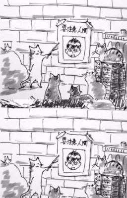 𝐭𝐫𝐢𝐨𝟎𝟐 𝐟𝐭 𝐋𝐂𝐊 - Chuyện Chúng Mình 