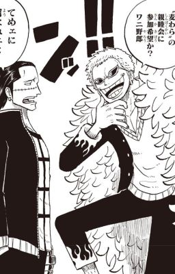 |𝑫𝒐𝒇𝑪𝒓𝒐| THPT Tam Hải