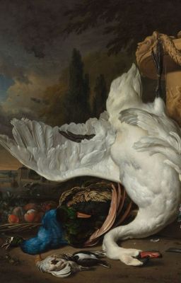 [𝑶𝒏𝒆𝒔𝒉𝒐𝒕] Nhân bì