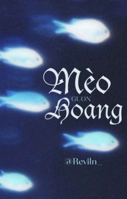 𝓖𝓾𝓸𝓷; Mèo hoang