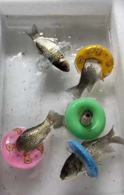 𝓜𝓸𝓽  𝓝𝓰𝓪𝔂  𝓑𝓲𝓷𝓱  𝒯𝓱𝓾𝓸𝓷𝓰