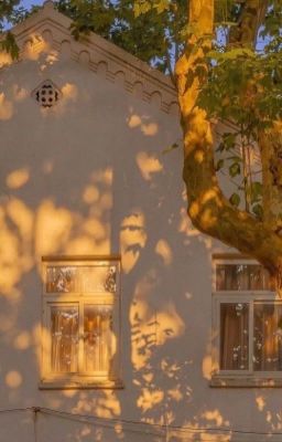 ☆ 𝗣𝗼𝗿𝗻𝘀𝘁𝗮𝗿 ☆