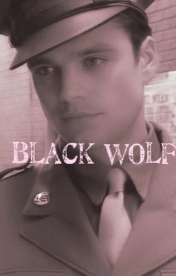 𝗯𝗹𝗮𝗰𝗸 𝘄𝗼𝗹𝗳 • [ 𝗯𝘂𝗰𝗸𝘆 𝗯𝗮𝗿𝗻𝗲𝘀 ]