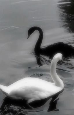 𝙲𝚑𝚞𝚢𝚎̣̂𝚗 𝚟𝚎̂̀ 𝚖𝚘̣̂𝚝 𝚗𝚐𝚊̀𝚢 𝚗𝚊̆́𝚗𝚐