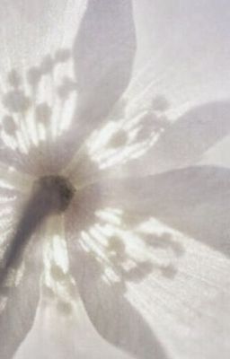 𝙵𝚘𝚞𝚗𝚍 𝙾𝚞𝚛 𝙿𝚕𝚊𝚌𝚎