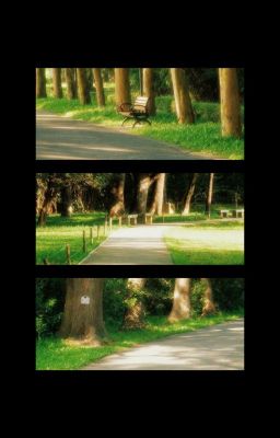 𝙼𝙾𝙿𝙸𝚄𝚂⤳Người Gom Ánh Nhỏ