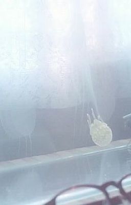 𝚊𝚕𝟸𝟻.⋆bánh kếp hạt nhân