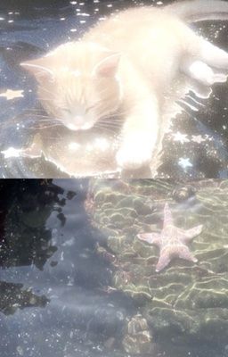 [𝟷] 𝚁𝚘̂́𝚒
